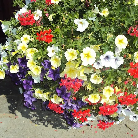 Gasthof Fürstenhof 3*