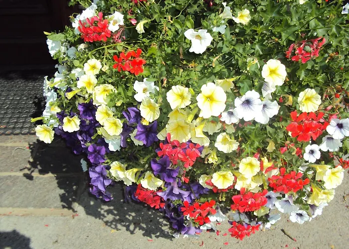 Pensjonat Fuerstenhof 3*